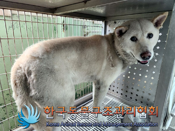 한국동물구조관리협회_411301202300362